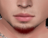 SMALL RED BEARD