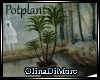 (OD) Potplant