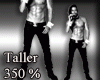 Taller %350