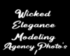 Wicked Elegance Photo 1