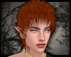 +Helios Hair - ginger