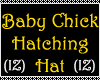 (IZ) Baby Chick Hat