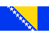 Bosnian Flag