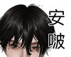 ab.H1