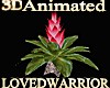 Animated Bromeliad