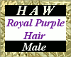 Royal Purple Hair - M