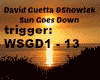 David Guetta SunGoesDown