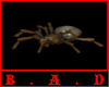 [B] Animated Spider