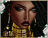 !C D'aja T/P v2 Coffee