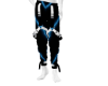 Cal&ccedil;a Shadow Pulse