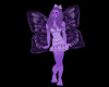 (B)Purple Butterfly/SP