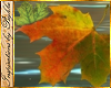 I~Falling Leaves