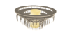Modern Chandelier