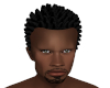 Judge Head/ Faded Goatee