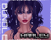 ! Belted and Sexy Bundle