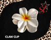 White Claw Clip