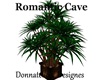 romnantic cave plant