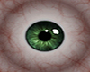 [VGP]Jade Eyes Male