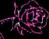 Glitterie Rose