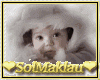Voice Kids/Voz De Bebe