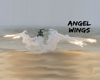 Angel Wings!