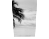 Palm Tree Cutout 3 - PA