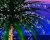 Palm Tree, Blink, Lights