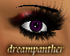 (dp) Dreamer Lashes 4