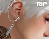 R. Feather earrings