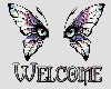 Welcome Butterfly Eyes