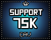 Support 75K