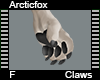 Arcticfox Claws F