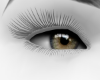 General Green Eyes