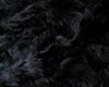 black furry rug