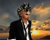 @Ace@Male Skunk Mohawk