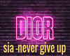 sia- never give up