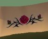 (CS) Tribal Rose
