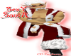 Sexy Santa 14