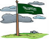 saudi flag design