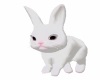 *M* Animated bunny