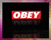 (C) OBEY Small room
