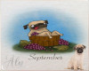 September Pug Calendar