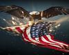 USA Eagle Cutout