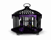 cage crows dance