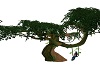 Leprechaun tree/swing
