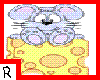 mouse on cheese