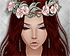 Flowers Red