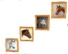Horse portrait group