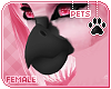 [Pets] Vimi | beak v3