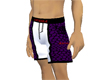 Akuma MMA Shorts Purple